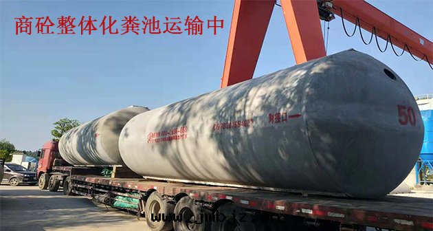 商砼整體(tǐ)化(huà)糞池